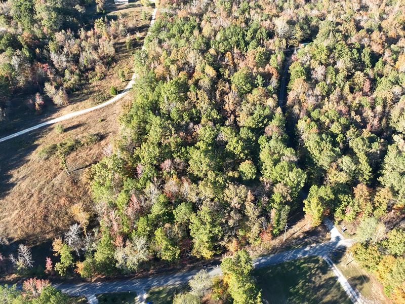 10 Acres, Can be Divided : Ashville : Saint Clair County : Alabama