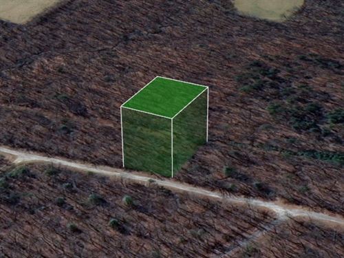 .26 Acre Lot in Crossville TN : Crossville : Cumberland County : Tennessee