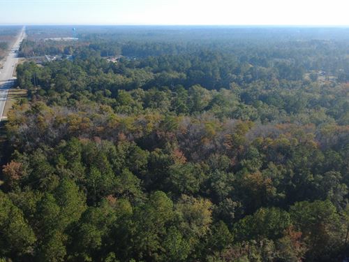 Commercial Opportunity in Ludowici : Ludowici : Long County : Georgia