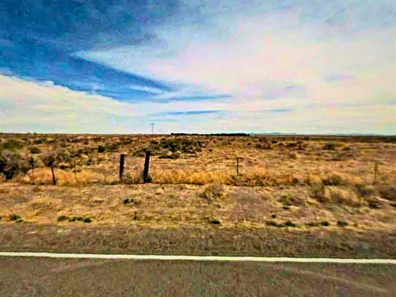 Camp, Hike, Stargaze : Deming : Luna County : New Mexico