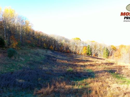 Shaffer Rd, Ellwood City, Pa, 16117 : Ellwood City : Lawrence County : Pennsylvania