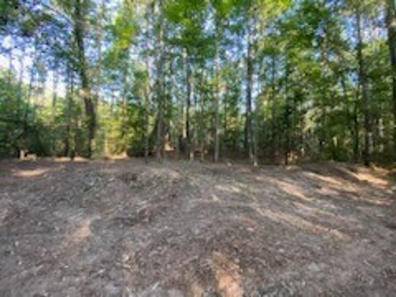 15.79 Acres North of Kirbyville, TX : Kirbyville : Jasper County : Texas