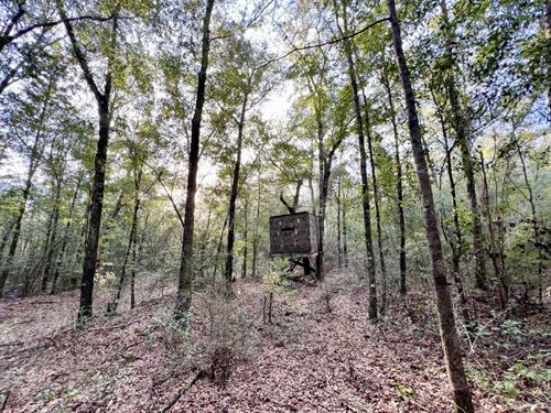 Mobile County Highway-158 : Eight Mile : Mobile County : Alabama