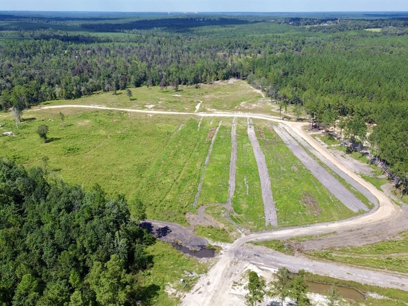 The Persimmon Creek Oasis, South : Robertsdale : Baldwin County : Alabama