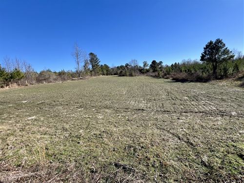 Mollie Cr-32 Clear Creek Timber : Mollie : Choctaw County : Alabama