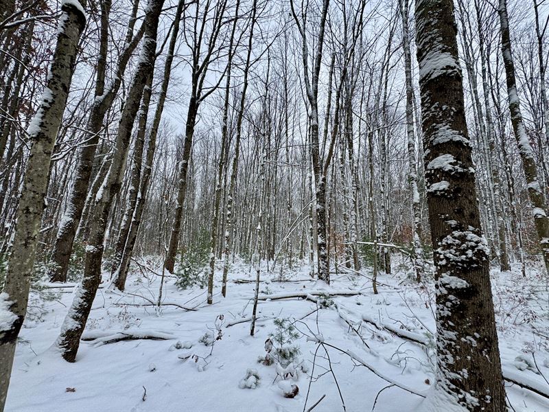 Ideal Home or Cabin Spot : Vienna : Oneida County : New York