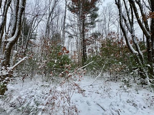 Oneida Lake Getaway Building Lot : Vienna : Oneida County : New York