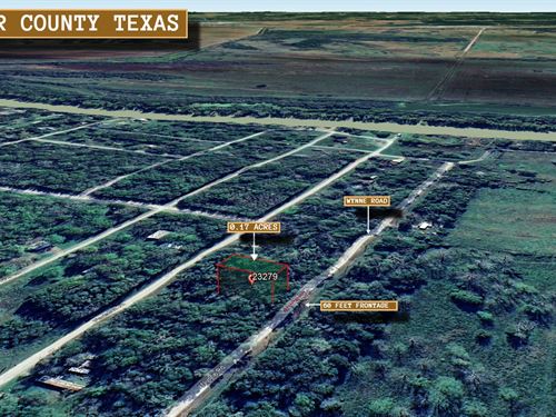 .17 Acre in Trinity, $250 a Month : Trinity : Walker County : Texas