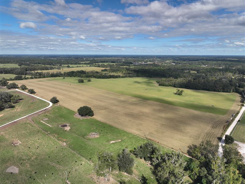 Development Land Auction : Lake City : Columbia County : Florida