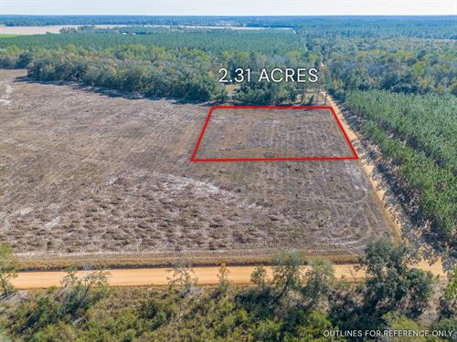 Tract 5 in Pinecone Trail, Mershon : Mershon : Pierce County : Georgia