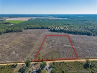 Tract 7 in Pinecone Trail, Mershon : Mershon : Pierce County : Georgia