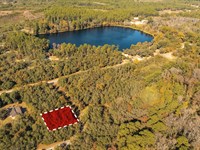 Land Near Two Lakes : Interlachen : Putnam County : Florida