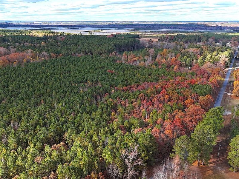 15 Acres of Hunting and Residential : Emporia : Emporia County : Virginia