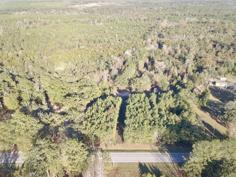 46 Acres Little River Hwy 59 Bal : Little River : Baldwin County : Alabama