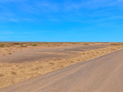 Level Lot & Serene, Affordable : Deming : Luna County : New Mexico