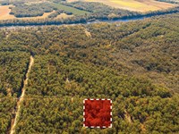 2 Acres Land Near Suwanne Lake : O Brien : Suwannee County : Florida