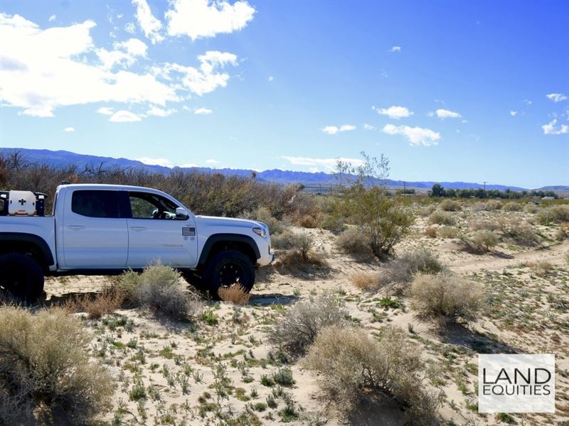 In The Path Of Growth : Twentynine Palms : San Bernardino County : California