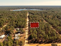 .45 Acres Near Beautiful Lake : Interlachen : Putnam County : Florida