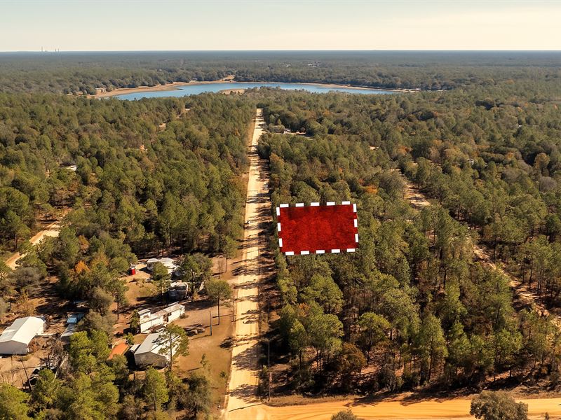 .45 Acres Near Beautiful Lake : Interlachen : Putnam County : Florida