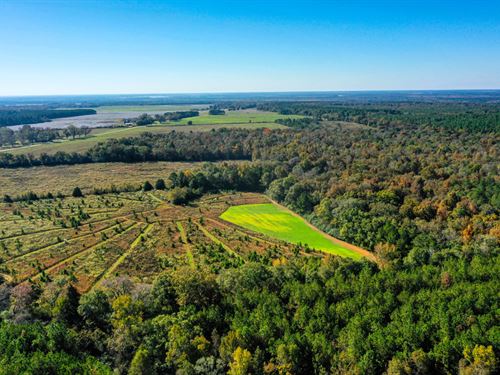 Sumter County 97 : Plains : Sumter County : Georgia