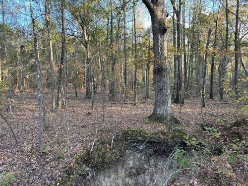 23 Acres Recreational Property, Yo : Fort Towson : Pushmataha County : Oklahoma
