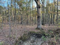 23 Acres Recreational Property, Yo : Fort Towson : Pushmataha County : Oklahoma