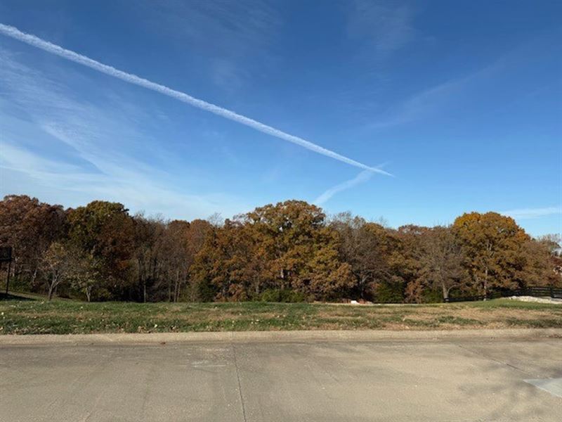 Building Lot : Holts Summit : Callaway County : Missouri