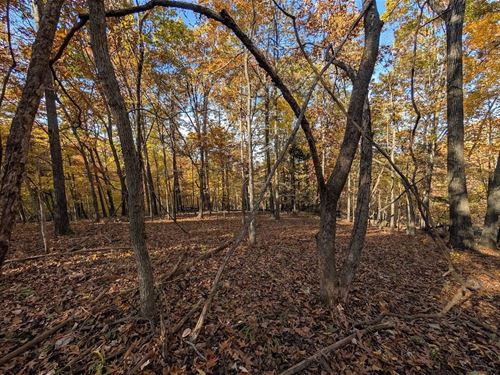 Hobbs State Park 6.23 Acre Lot : Rogers : Benton County : Arkansas
