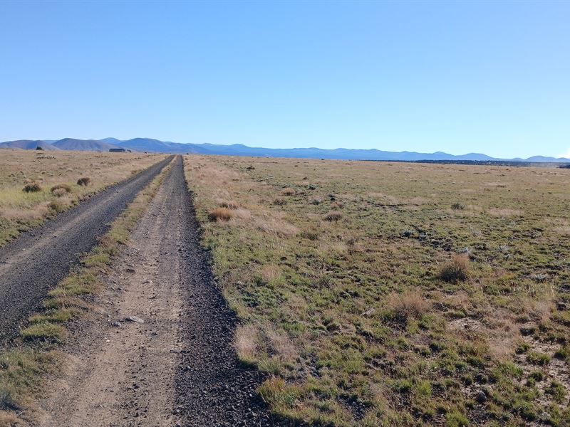 Build Your Dream Home : Concho : Apache County : Arizona