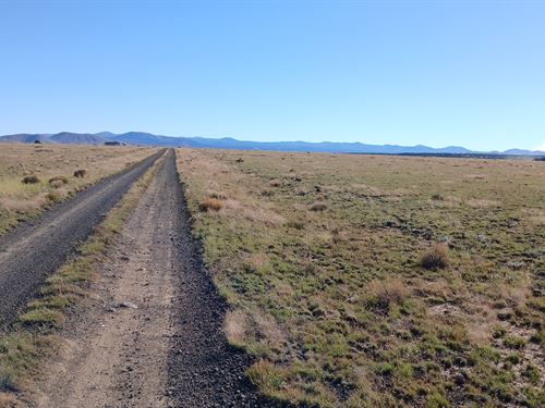 Build Your Dream Home : Concho : Apache County : Arizona