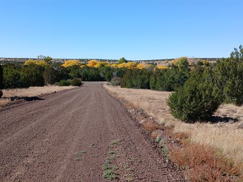 Ready to Build Lot in Concho : Concho : Apache County : Arizona
