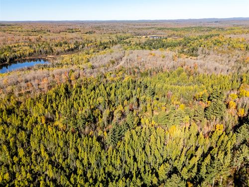 Building Site Near Long Lake : Oma : Iron County : Wisconsin