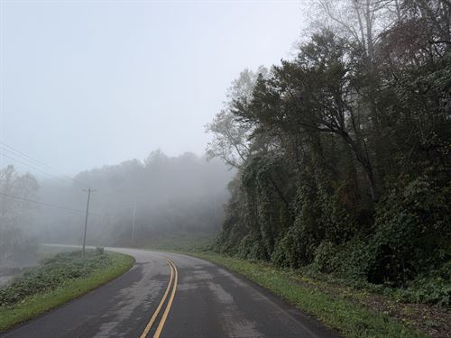 35.6 Acres in Ellijay, GA : Ellijay : Gilmer County : Georgia