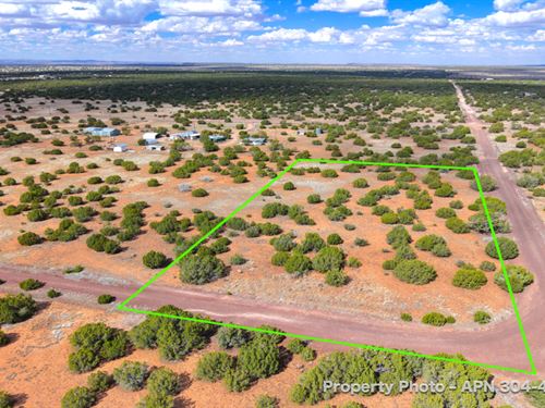 Private Forested Acreage : Show Low : Navajo County : Arizona