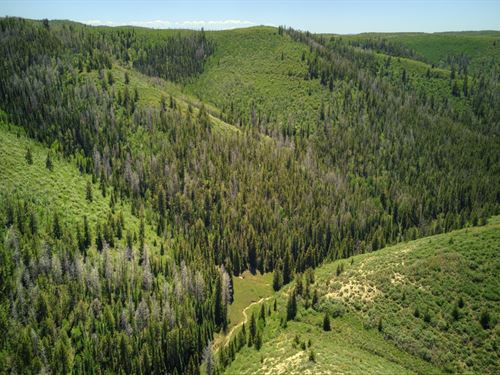 Bugle Canyon Ranch : Rifle : Garfield County : Colorado