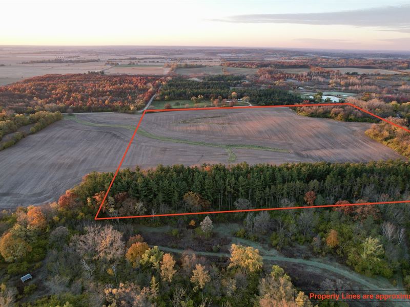 40 Acres Bunk Hill Rd : Woodstock : McHenry County : Illinois