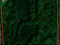 Greentree 40 : Newton : Jasper County : Illinois