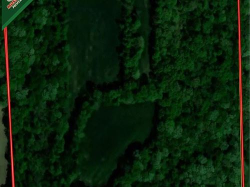 Greentree 40 : Newton : Jasper County : Illinois