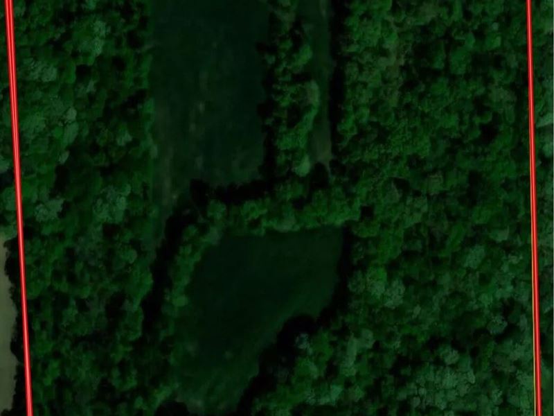 Greentree 40 : Newton : Jasper County : Illinois