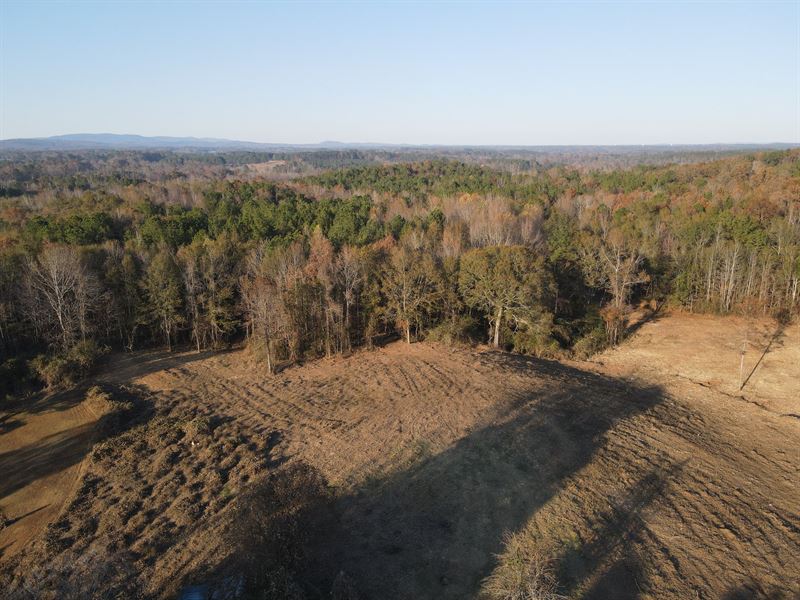 57 Acres, Ashland, AL : Ashland : Clay County : Alabama