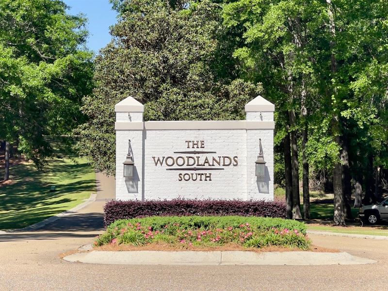 The Woodlands South Subdivision Lot : Hattiesburg : Lamar County : Mississippi