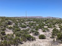 High Desert Nevada Retreat : Deeth : Elko County : Nevada