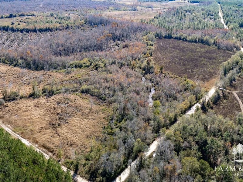 Seay Road East, 28.5 Ac Jackson : Cottondale : Jackson County : Florida