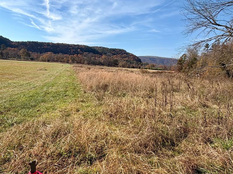 3.84 Acres in Hagarville, Arkansas : Hagarville : Johnson County : Arkansas