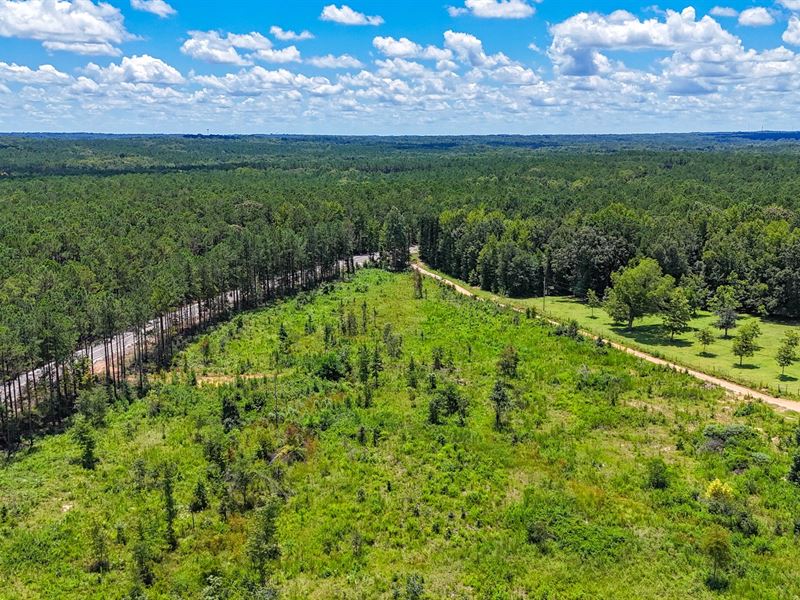 10 Acre Homesite in Lee County : Salem : Lee County : Alabama