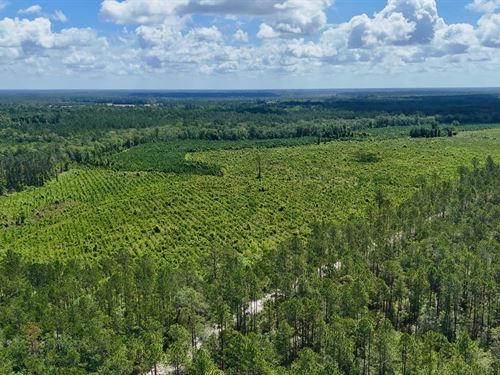 Bennett Mill Pond Retreat : Odum : Wayne County : Georgia