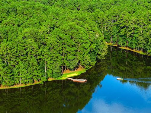 Seven Springs Ranch : Brushy Creek : Anderson County : Texas