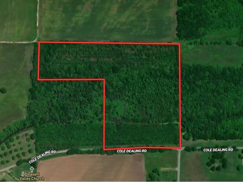 Hunting Woods, Scottt 19 : Scott : Lonoke County : Arkansas