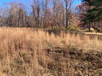 S Robinson Place Building Site : West Terre Haute : Vigo County : Indiana