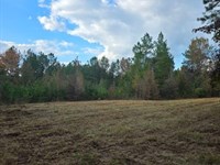 Moses Ln 40 : Prentiss : Mississippi